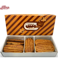 پادرازی امین - Image 3