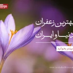 بهترین زعفران دنیا و ایران