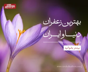 بهترین زعفران دنیا و ایران