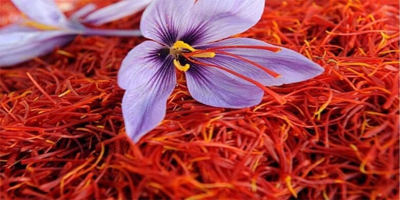 خواص گل زعفران