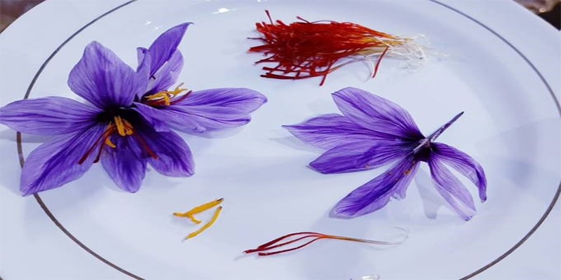 خواص گلبرگ زعفران