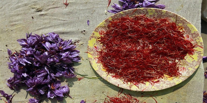 مضرات گلبرگ زعفران