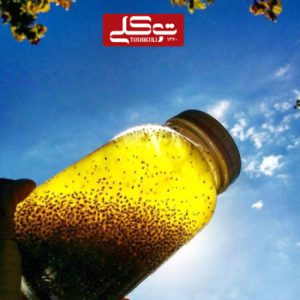 شربت زعفران توکلی