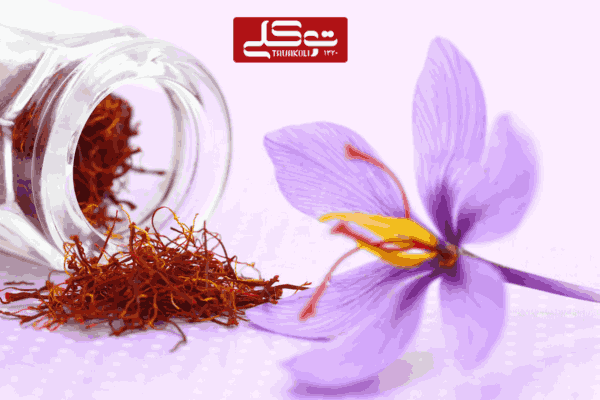 موارد منع مصرف زعفران (1)
