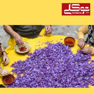 کیفیت زعفران ایران