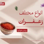 انواع مختلف زعفران