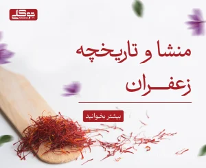 تاریخچه و منشا زعفران