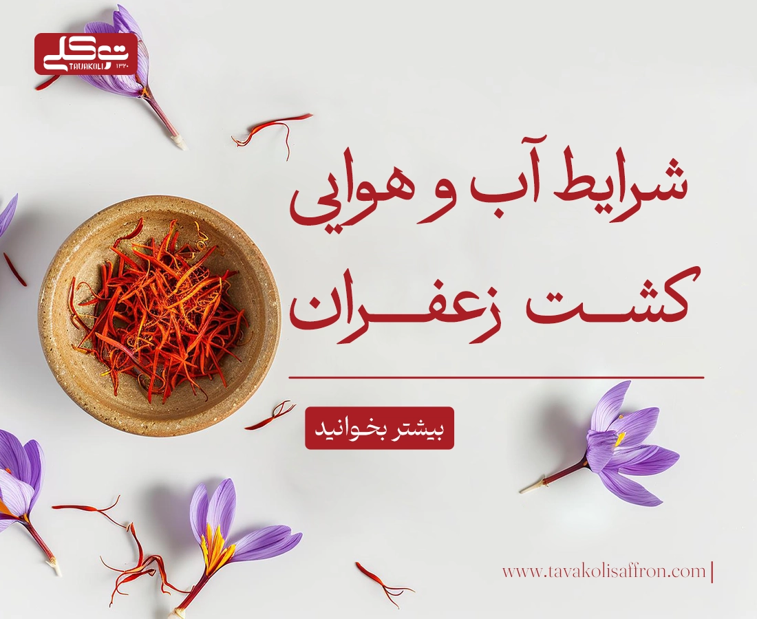 شرایط آب و هوایی کشت زعفران