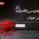 ایران بهترین تولید کننده زعفران در جهان