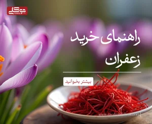 راهنمای خرید زعفران