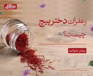 زعفران دختر پیچ چیست