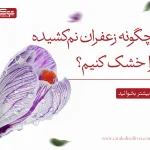 خشک کردن زعفران نم‌ کشیده