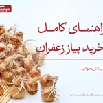راهنمای کامل خرید پیاز زعفران