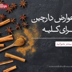 عوارض دارچین برای کلیه