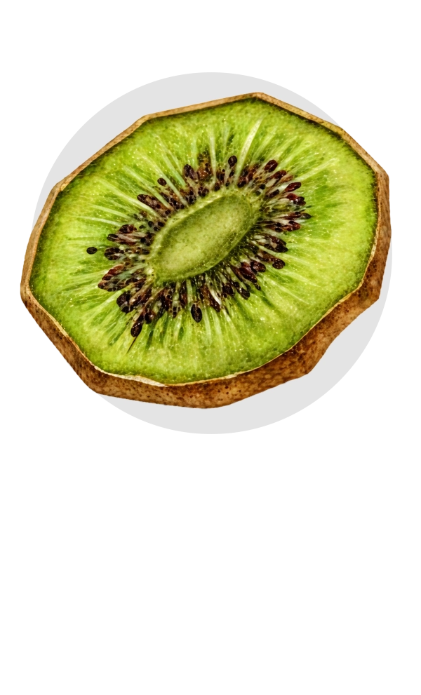 میوه خشک توکلی