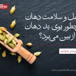 تاثیر هل در ازبین رفتن بوی دهان