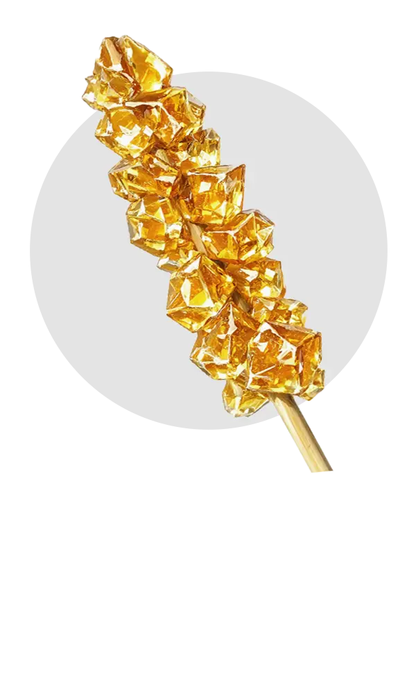 نبات