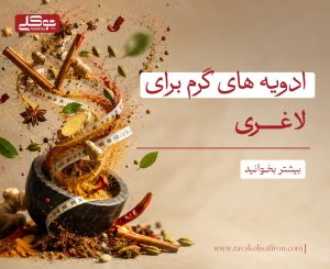 بهترین ادویه‌ها برای لاغری
