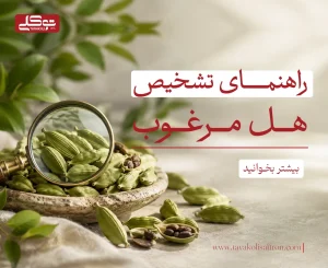 راهنمای تشخیص هل مرغوب