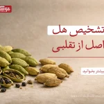 تشخیص هل اصل از تقلبی