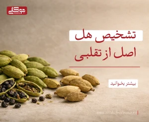 تشخیص هل اصل از تقلبی