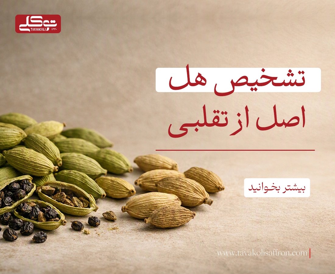 تشخیص هل اصل از تقلبی