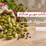 راهنمای خرید هل تازه