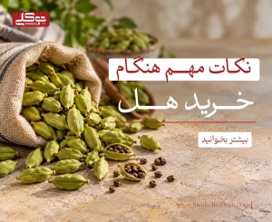 راهنمای خرید هل تازه