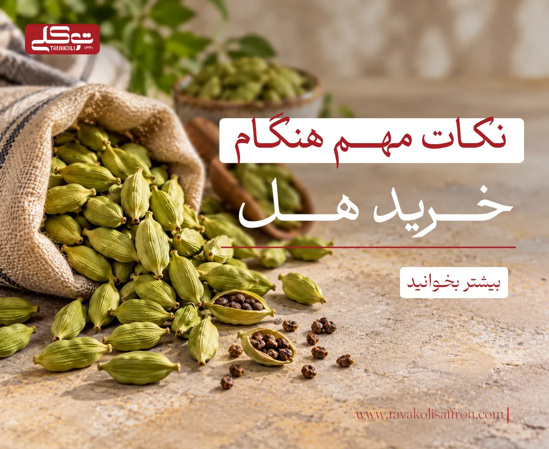 راهنمای خرید هل تازه