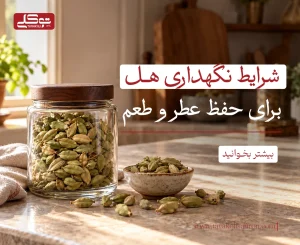 شرایط نگهداری هل برای حفظ عطر و طعم